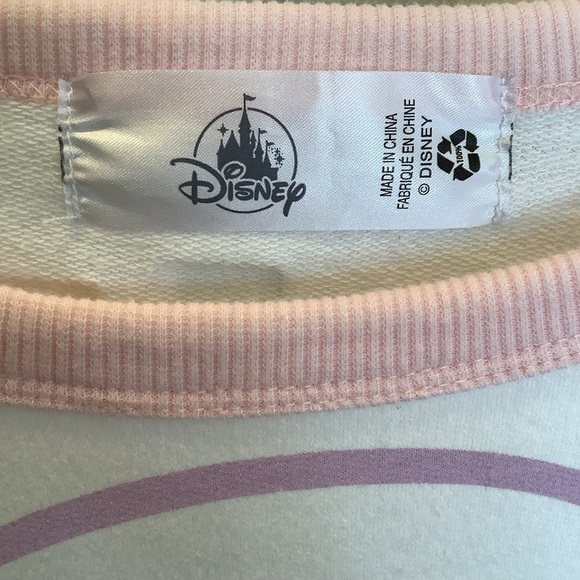 Disney Winnie the Pooh Pastel Sweatshirt Size XL - Picture 3 of 9